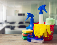  PRODUCTOS DE LIMPIEZA DE MANCHAS Y OLORES 